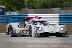 IMG_8515-2021Sebring