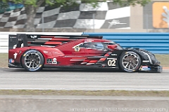 IMG_1587-2022-Sebring