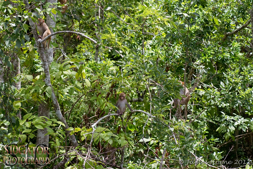 SilverRiver2012-070712-013.JPG