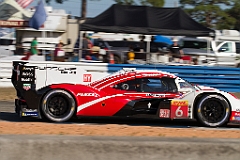 sebring-2023-img_3237